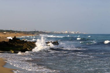 Akdeniz kıyılarında 