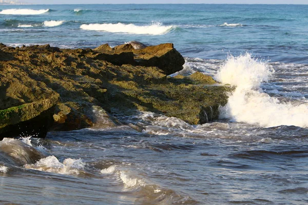 Akdeniz kıyılarında 