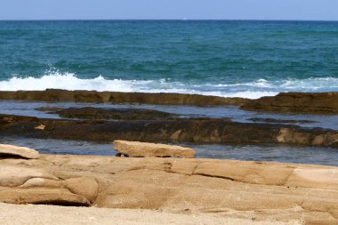 Akdeniz kıyılarında 