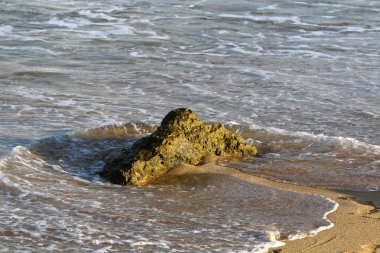 Akdeniz kıyılarında 