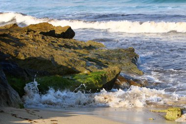 Akdeniz kıyılarında 