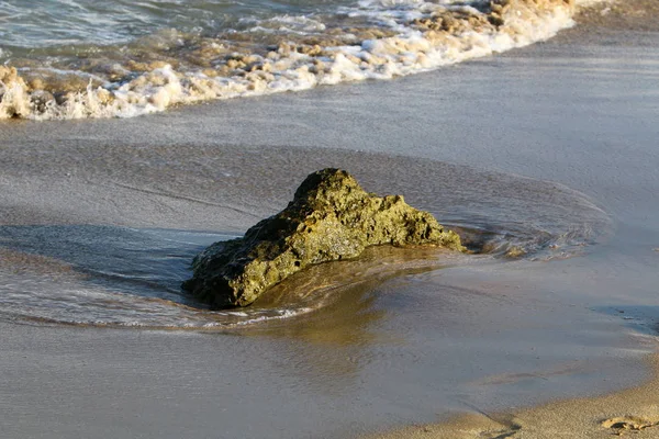 Akdeniz kıyılarında 