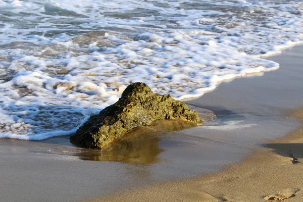 Akdeniz kıyılarında 