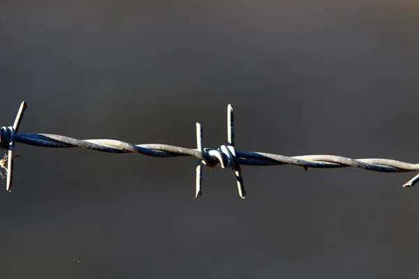 Cerca de arame farpado — Fotografia de Stock