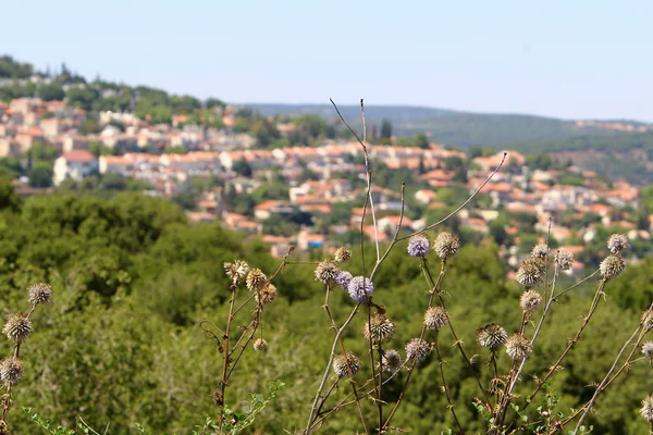 Çatı - binanın üst yapısı — Stok fotoğraf