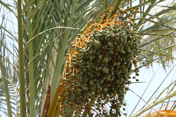 Doğa makro resimleri 