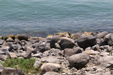 Sahildeki taşlar 