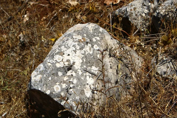 Kamienie na brzegu — Zdjęcie stockowe