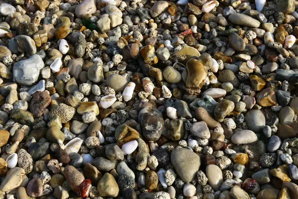 Kameny na břehu — Stock fotografie