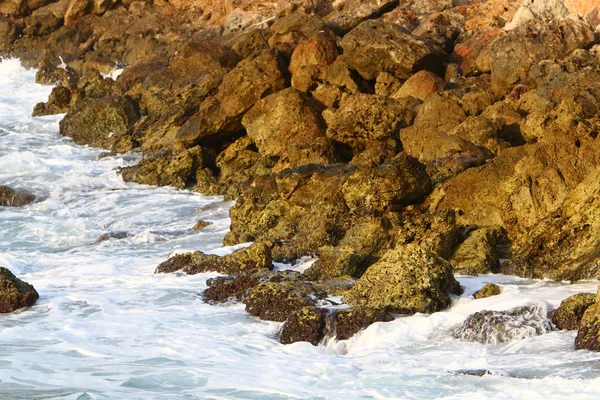 Pedras na costa — Fotografia de Stock