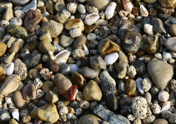 Kameny na břehu — Stock fotografie