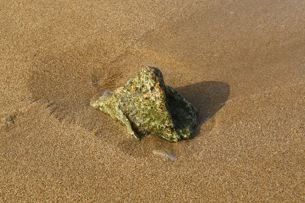 해변에 있는 돌들 — 스톡 사진