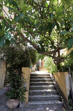 Tel Aviv ile yürümek 