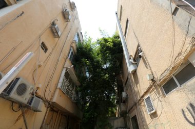 Tel Aviv ile yürümek 