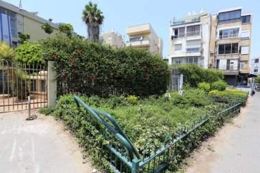 Tel Aviv ile yürümek 