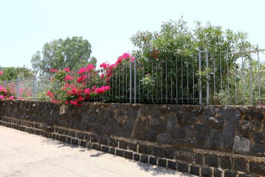 Çitin her zaman sınırı olduğunu 