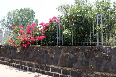 Çitin her zaman sınırı olduğunu 