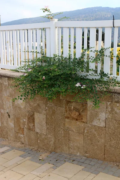 Çitin her zaman sınırı olduğunu 