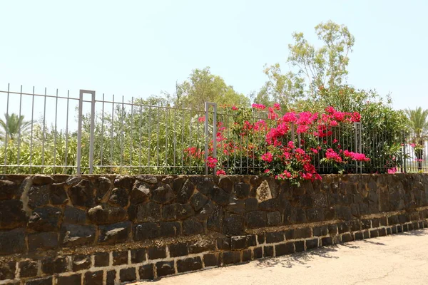 Çitin her zaman sınırı olduğunu 