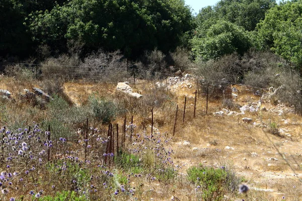 Çitin her zaman sınırı olduğunu 