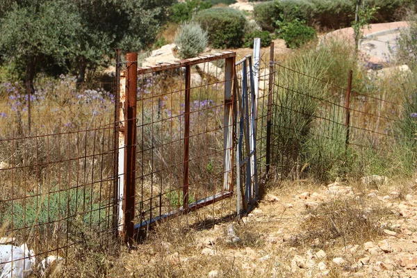 Çitin her zaman sınırı olduğunu 