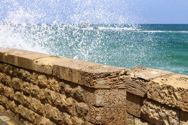 Çitin her zaman sınırı olduğunu 