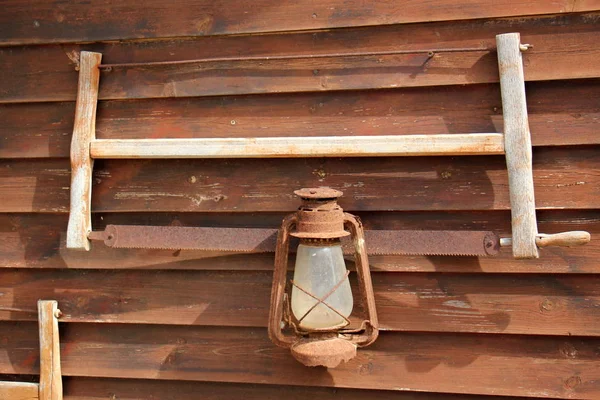 Vista y textura del árbol — Foto de Stock