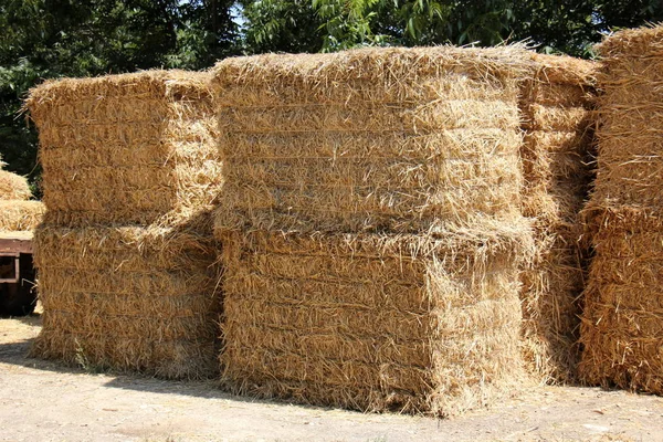 There is dry straw — Stock Photo, Image