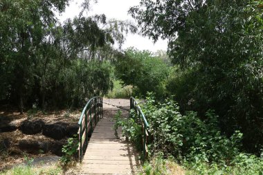 Köprü nehrin üzerinde 