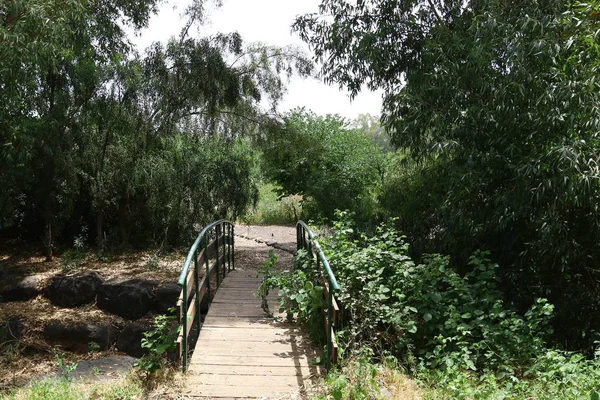 Köprü nehrin üzerinde 