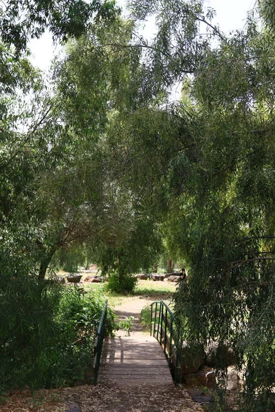 Köprü nehrin üzerinde 