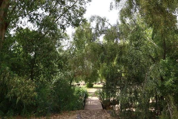 Köprü nehrin üzerinde 