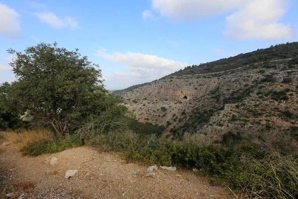 Walk in the mountains — Stock Photo, Image