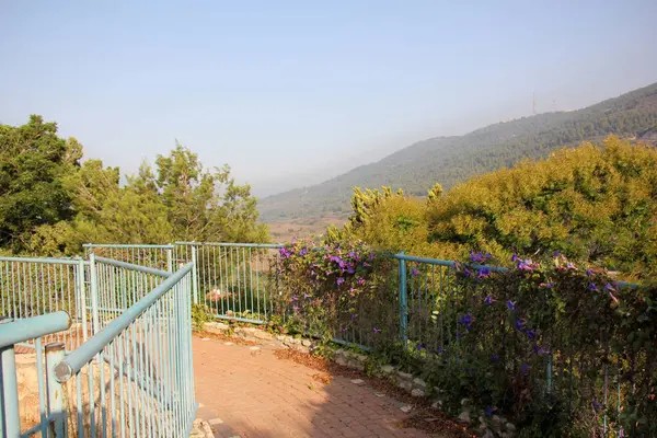 Çitin her zaman sınırı olduğunu 