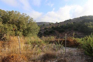 Çitin her zaman sınırı olduğunu 