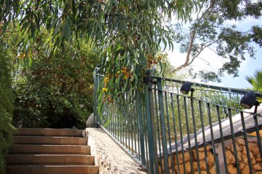 Çitin her zaman sınırı olduğunu 