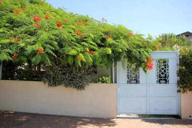 Çitin her zaman sınırı olduğunu 