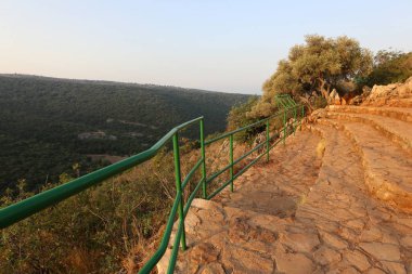 Çitin her zaman sınırı olduğunu 