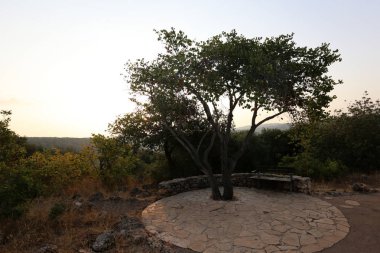 Tezgah parkta duruyor 