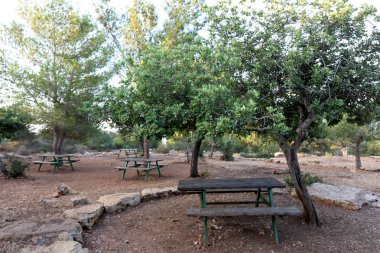 Tezgah parkta duruyor 