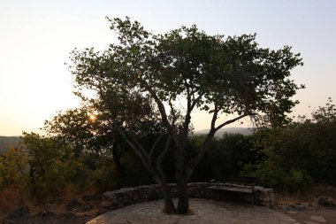 Tezgah parkta duruyor 