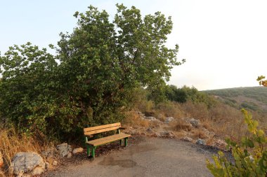 Tezgah parkta duruyor 