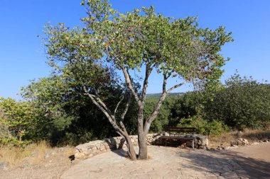 Tezgah parkta duruyor 
