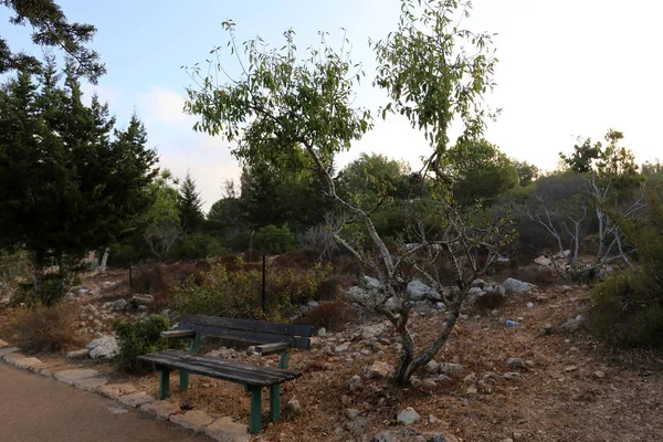 Tezgah parkta duruyor 