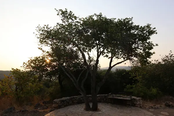 Tezgah parkta duruyor 