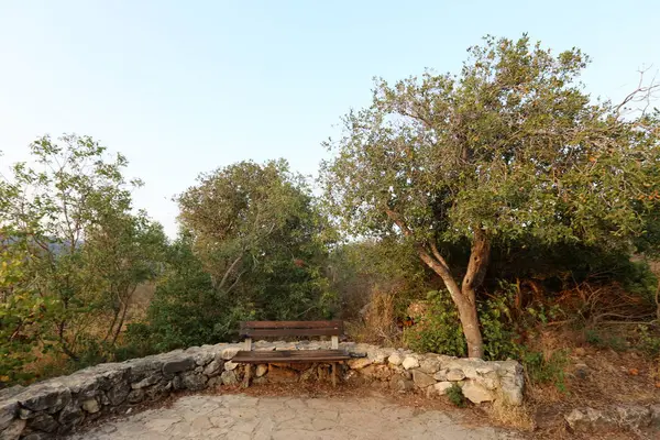 Tezgah parkta duruyor 