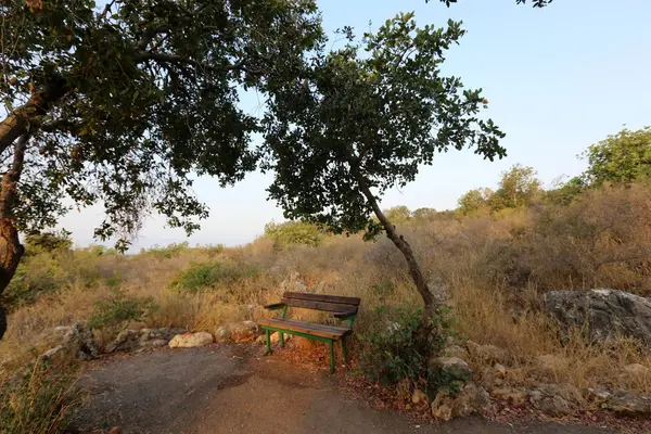 Tezgah parkta duruyor 