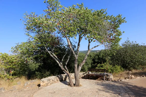Tezgah parkta duruyor 