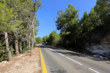 yol - yol-in iletişim 