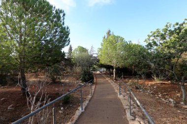 yol - yol-in iletişim 